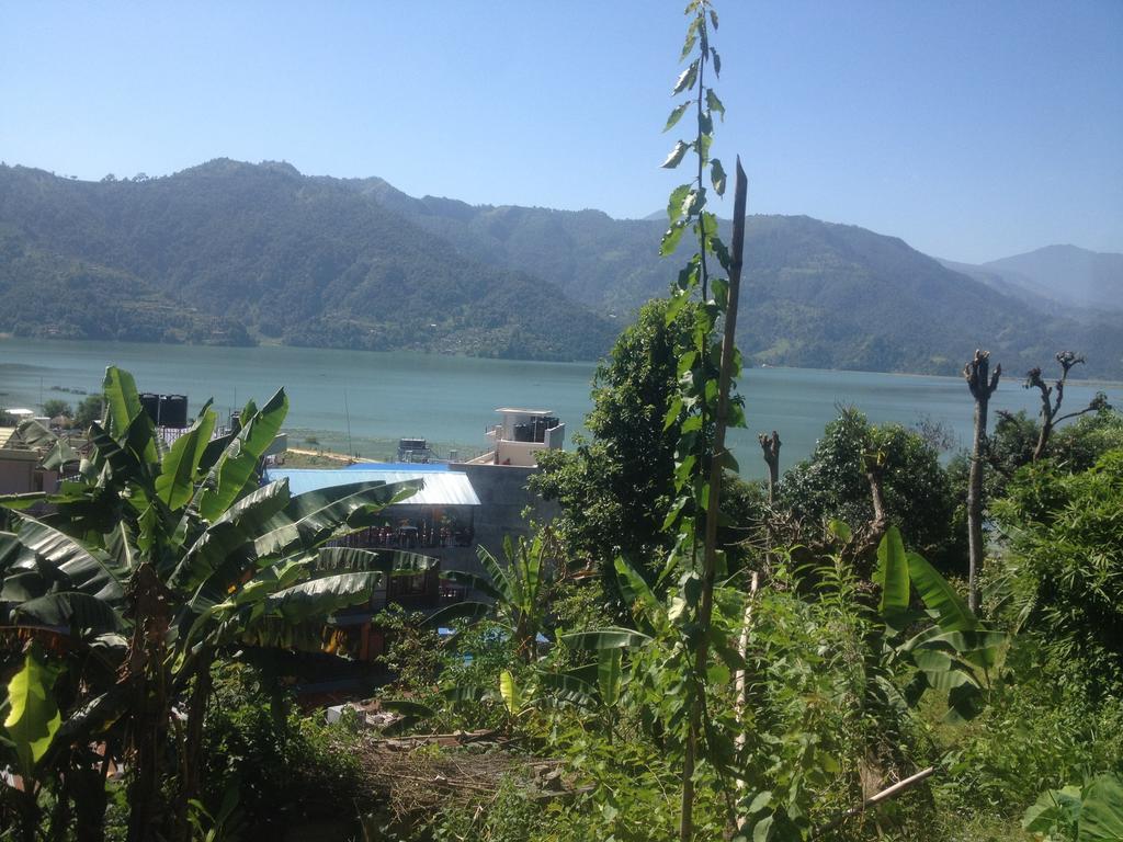 Peace Guest House Pokhara Room photo