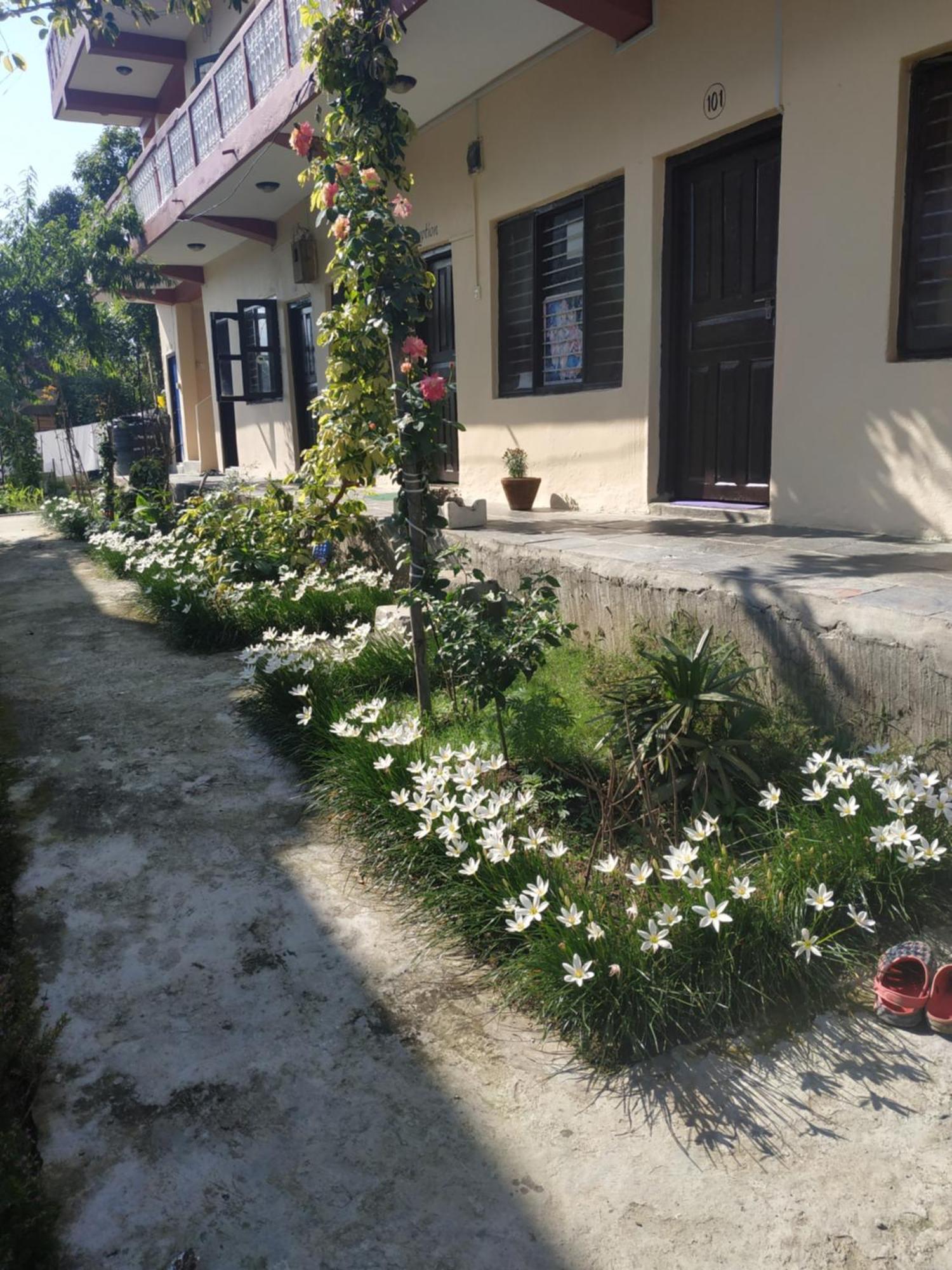 Peace Guest House Pokhara Exterior photo