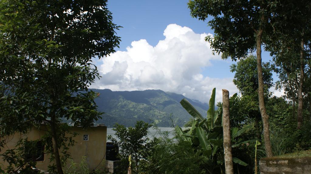 Peace Guest House Pokhara Exterior photo