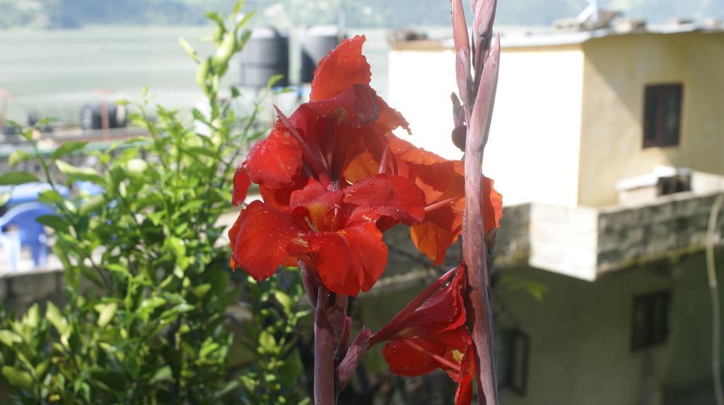 Peace Guest House Pokhara Exterior photo
