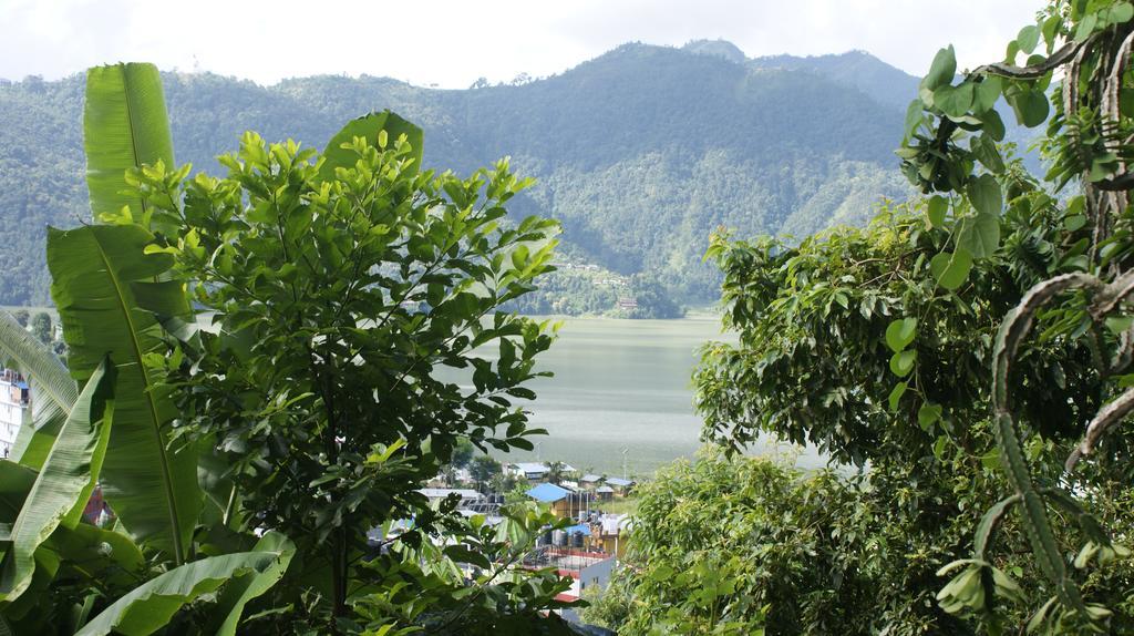 Peace Guest House Pokhara Exterior photo