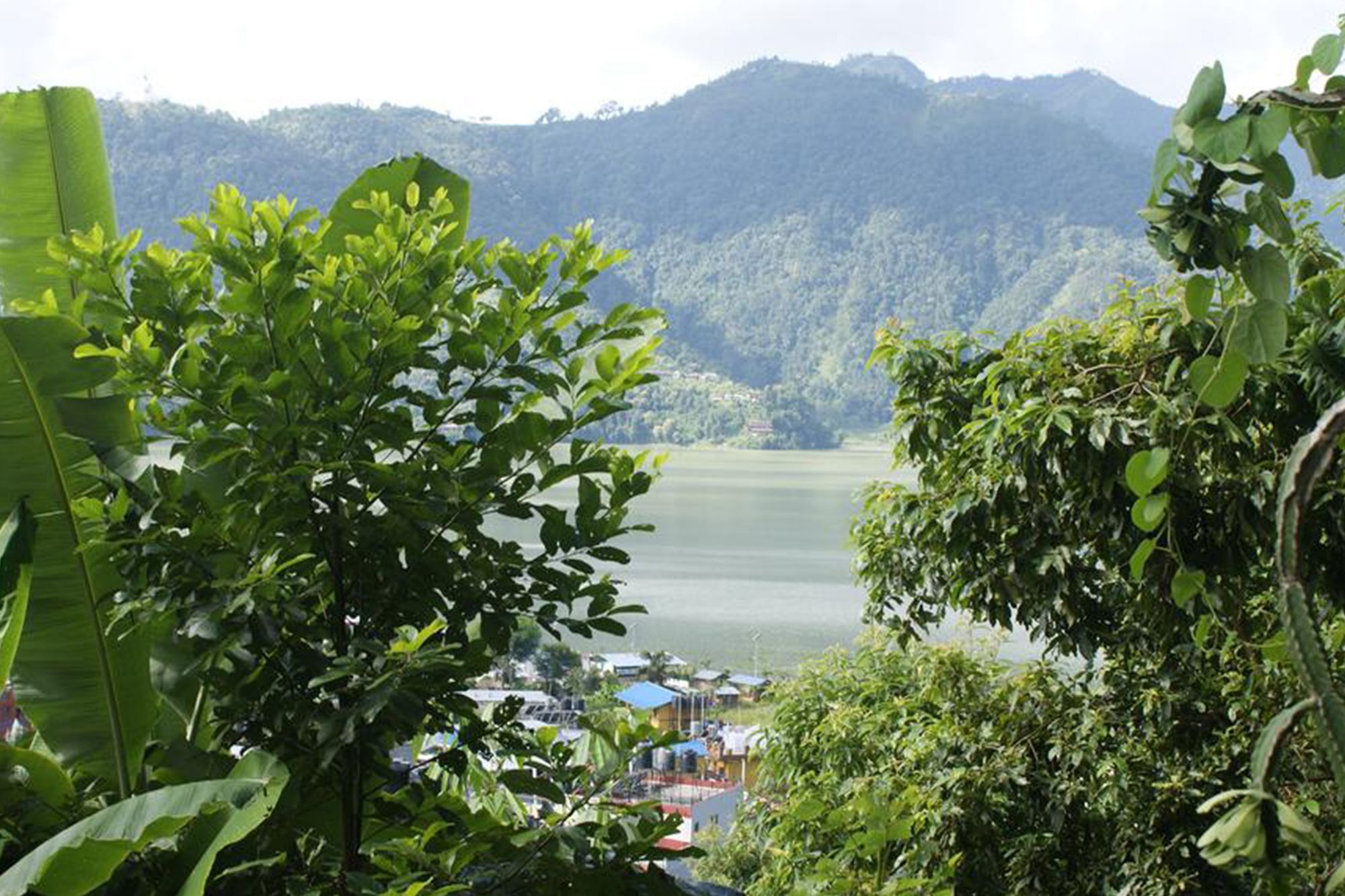 Peace Guest House Pokhara Exterior photo