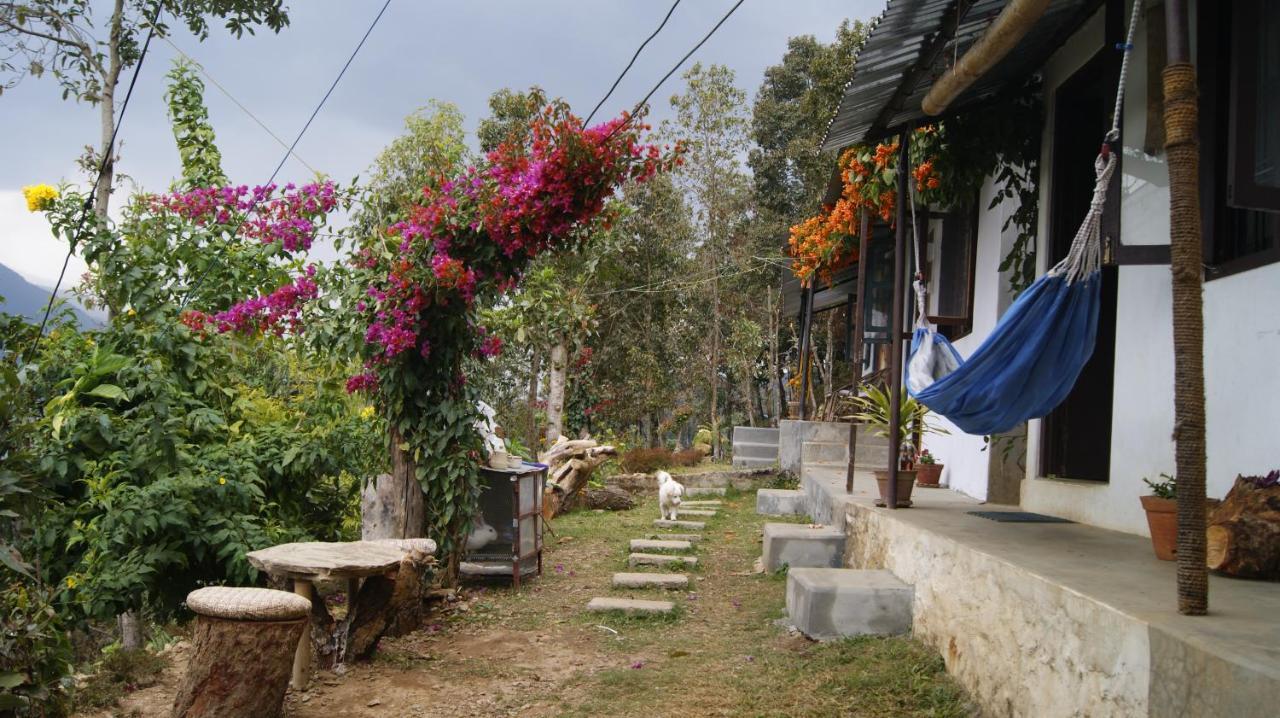 Peace Guest House Pokhara Room photo